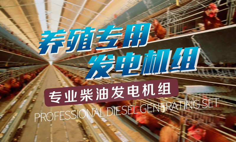養殖專用柴油發電機組 養殖專用柴油發電機組